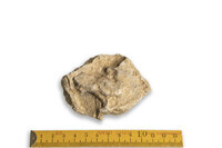 F 08841
          <br/>
          
          <br/>
          <em></em>